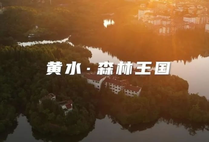 未命名-3.jpg